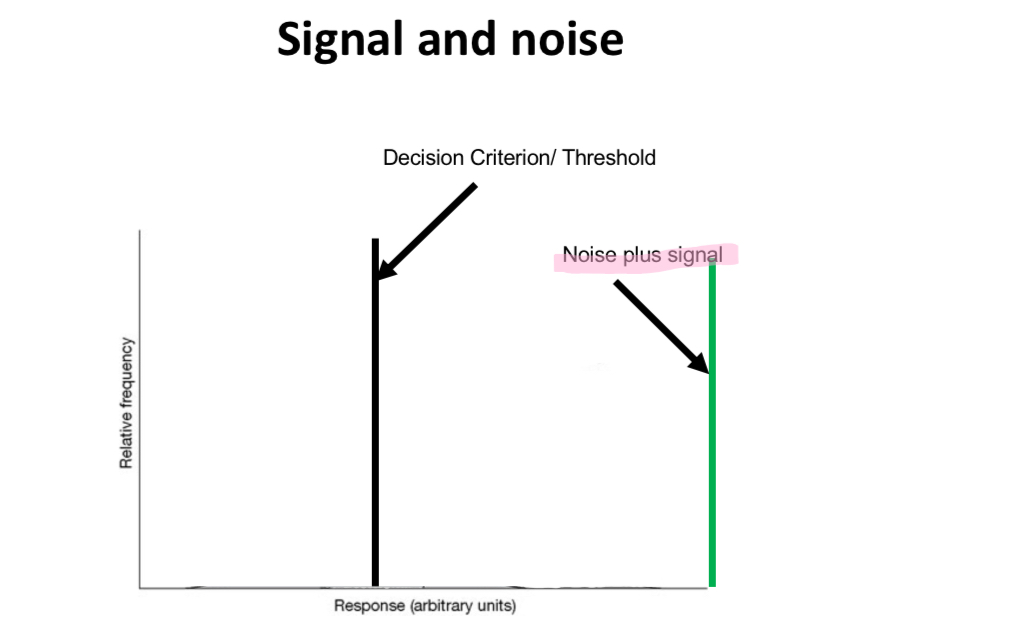 <p>Explain the graph</p>