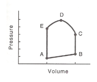 <p>When does the left AV valve open?</p>