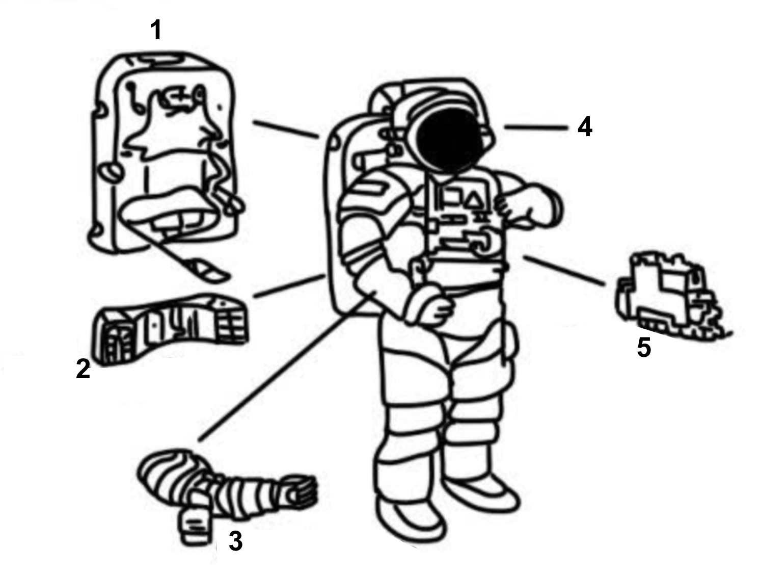 <p>Label diagram </p>