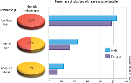 <ul><li><p><strong>Genetics</strong>: Studies by Bailey and Pillard (1991) found that 52% of identical twins of gay men are also gay, suggesting a genetic influence. Similar findings were observed in lesbians.</p></li><li><p><strong>Prenatal Hormones</strong>: Research suggests prenatal hormones might affect brain development, which could play a role in sexual orientation. Women exposed to higher levels of androgens during pregnancy were found to have higher rates of homosexuality.</p></li><li><p><strong>Plasticity in Women's Sexuality</strong>: Women’s sexual preferences are more fluid than men’s, influenced by sociocultural factors. Lesbian and bisexual women often report changing their sexual orientation during adulthood, unlike men.</p></li><li><p><strong>Environmental Factors</strong>: Environmental theories had limited success, but biological theories, including genetics and prenatal hormones, have gained more traction in recent years.</p></li></ul><p></p>