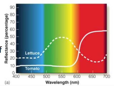 <p>Reflectance Curves</p>