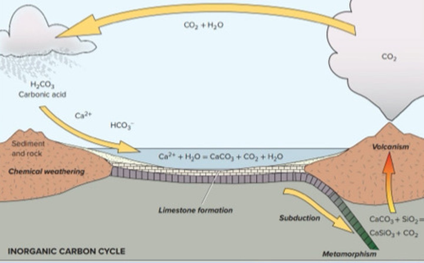 <p>-Present in the atmosphere as carbon dioxide (CO2)gas<br>-CO2 combines with water to form carbonic acid<br>-This acid weathers rocks and leads to limestone formation in bodies of water -This product of weathering is returned to mantle by tectonic plate movement<br>-The CO2 is released back to atmosphere by volcanic eruptions <br>-The CO2 in the atmosphere impacts global temperature</p>