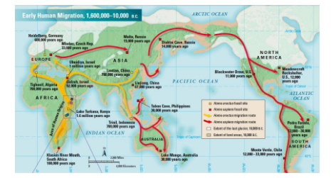 <ul><li><p>Micronesia and New Zealand, which were colonized around 2,500 years ago</p></li></ul>