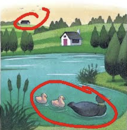 near objects are low in the visual field while more distant ones are higher up
