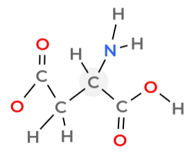 <p>Identify the side chain/R group</p>