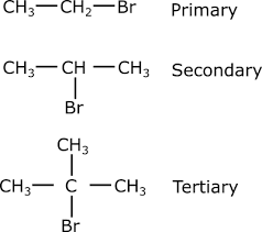 <p>identify this</p>