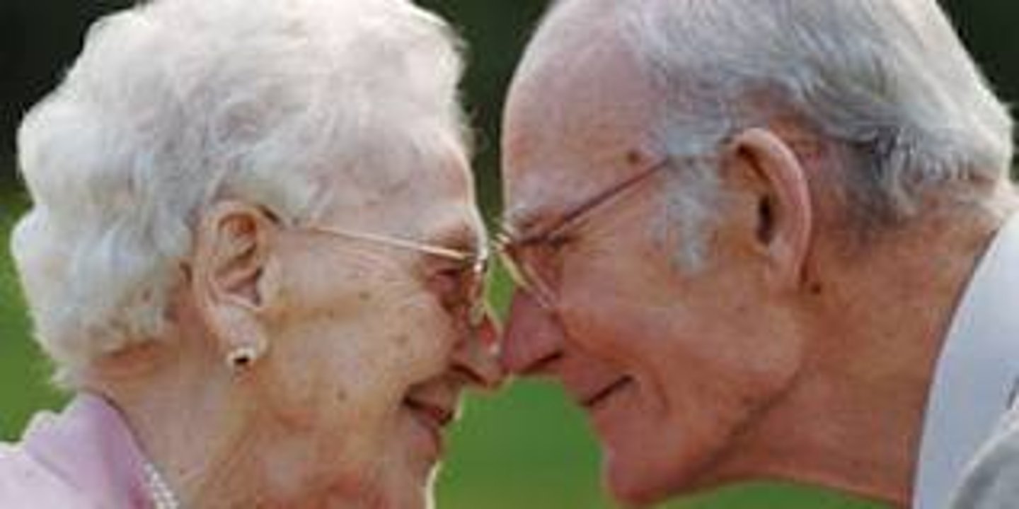 <p>the grandparents</p>