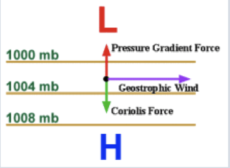 <p>Balance of the horizontal components of Pressure Gradient Force and the Coriolis force. </p><p><strong>Coriolis force = - pressure gradient force </strong></p><ul><li><p>results in wind moving parallel across isobars instead of across them. </p></li><li><p>wind speed is proportional to pressure gradient, or inversely proportional to isoline spacing. </p></li><li><p>95% percent of the time have geostrophic balance however invalid in strong storms or disturbances. </p></li></ul><p></p>