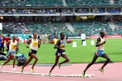 to do track