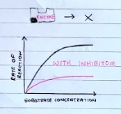 <p>Non-Competitive Inhibitors are a different shape to the substrate. They bind to the enzyme AWAY from the active site, causing the tertiary structure to permanently change shape. This means that substrates cannot bind, causing the rate of reaction to decrease.</p><p>IT IS NOT REVERSIBLE.</p>