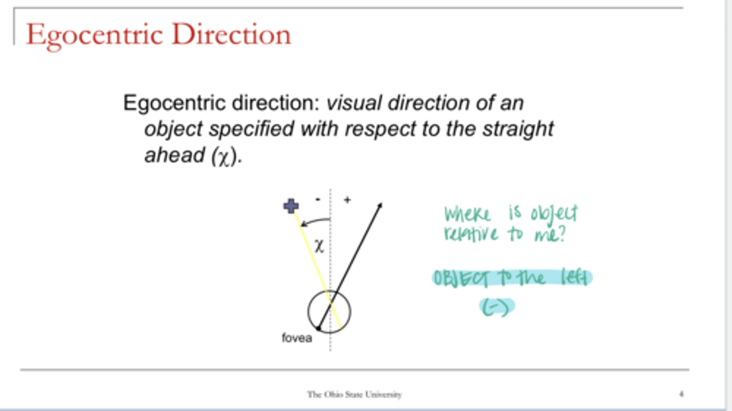 <p>What is the egocentric direction?</p>