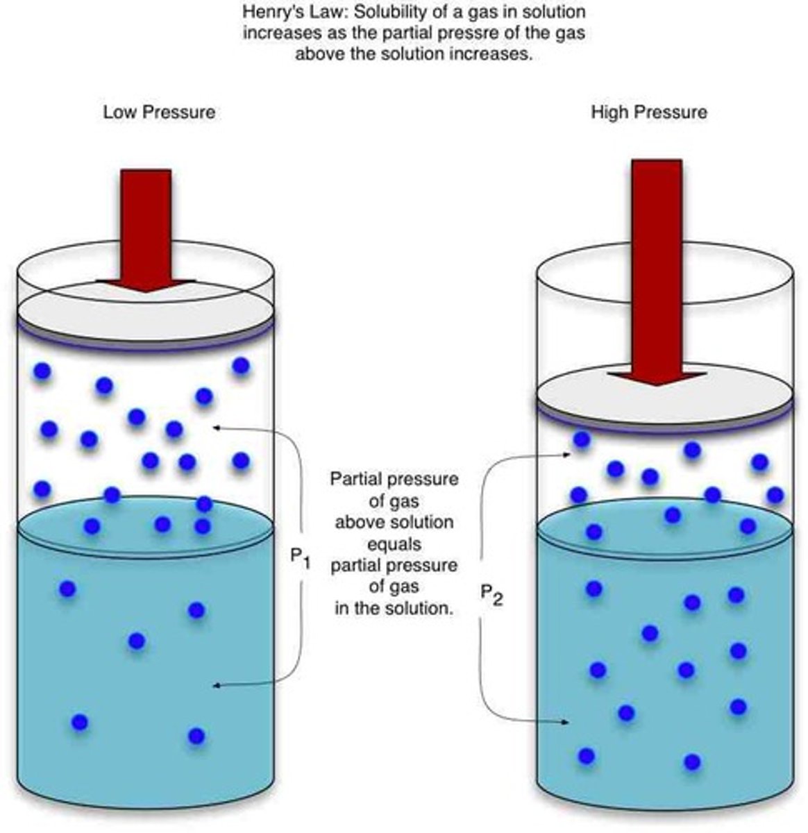 <p>increases with the partial pressure of the gas on the solution</p>