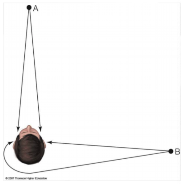 <p>ITD look at the time sound reaches the two ears!</p><p><strong>Medial Superior Olive</strong></p><p>Same distance = no time difference</p><p>Smaller heads have small ITDs</p>