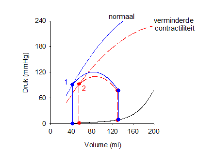 neemt het eind-systolisch volume toe of af, en het slagvolume?