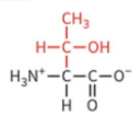 <ul><li><p>polar: uncharged</p></li><li><p>hydrophilic</p></li><li><p>not typically ionized at physiological pH</p></li></ul><p></p>