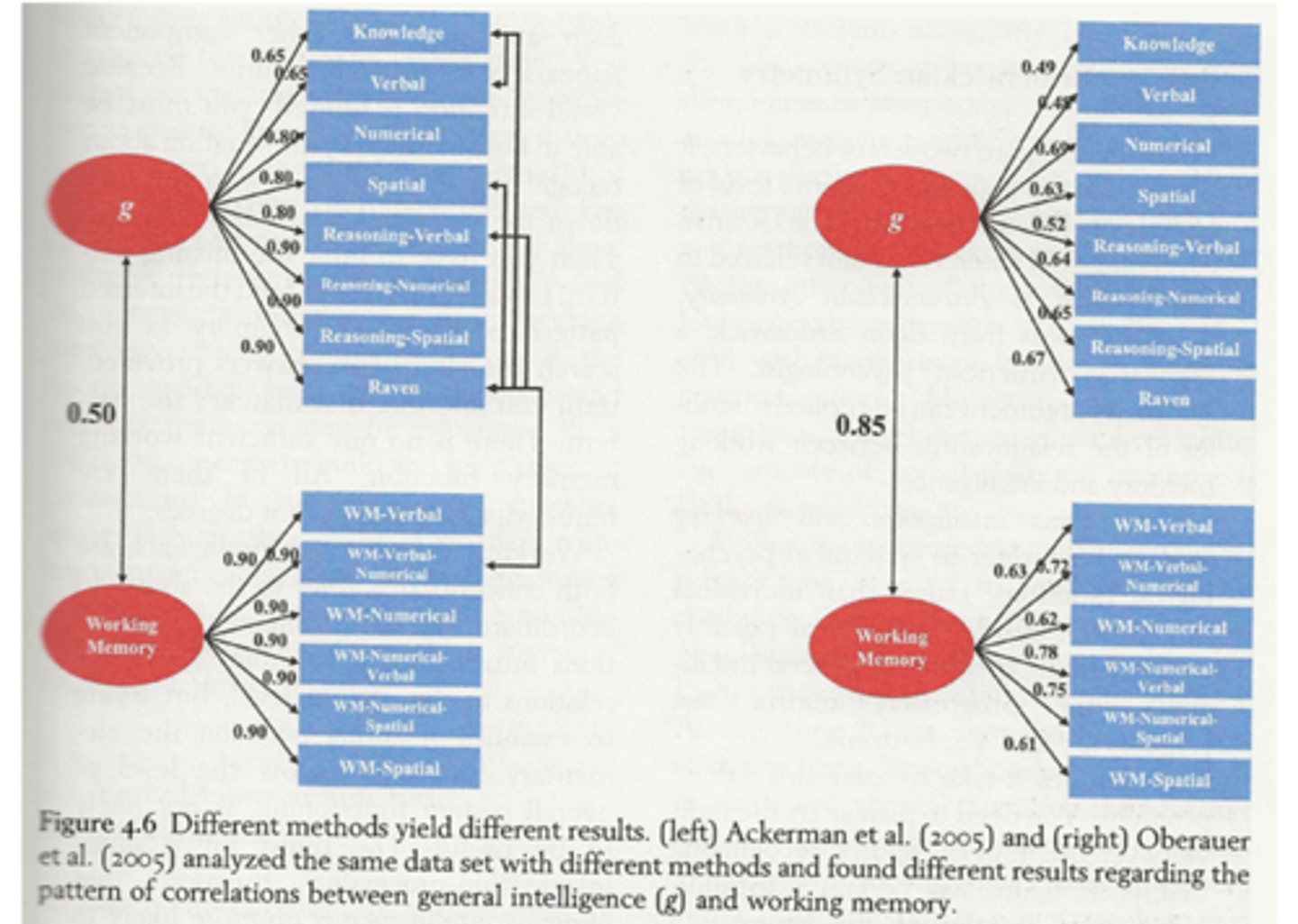 <p>- Links (Ackerman et al., 2005):▪︎ Correlatie tussen werkgeheugen en g = 0.50 → matig sterk verband▪︎ Werkgeheugen en g worden als losse constructen gemodelleerd▪︎ Er is minder overlap tussen de twee</p><p>- Rechts (Oberauer et al., 2005):▪︎ Correlatie tussen werkgeheugen en g = 0.85 → heel sterk verband▪︎ Werkgeheugen en g zijn nauwer verbonden, bijna hetzelfde gemodelleerd▪︎ Grote overlap tussen de twee constructen</p><p>-> vandaag vooral steun vr dit model! (sterke correlaties tussen g en werkgeheugentaken)</p>