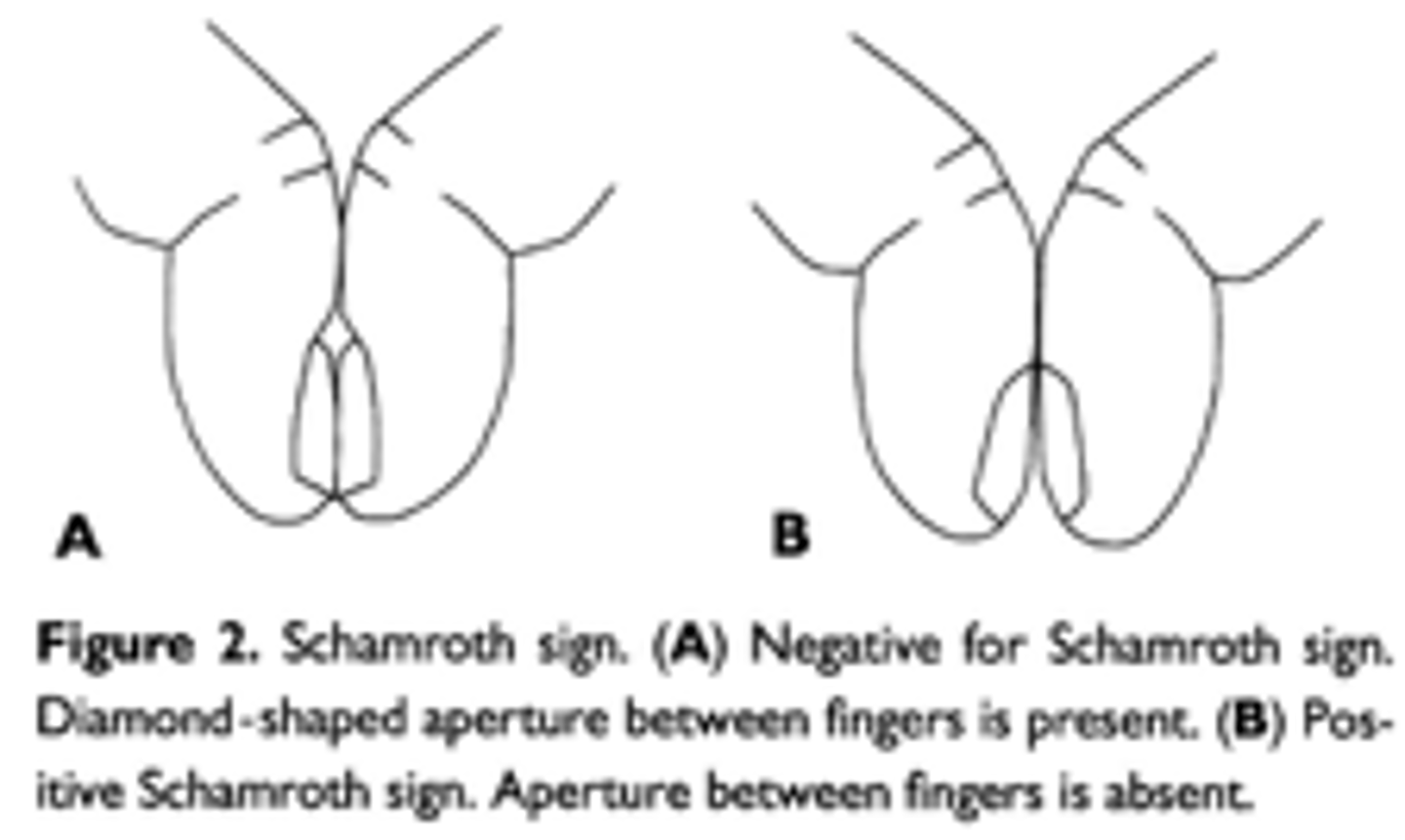 knowt flashcard image