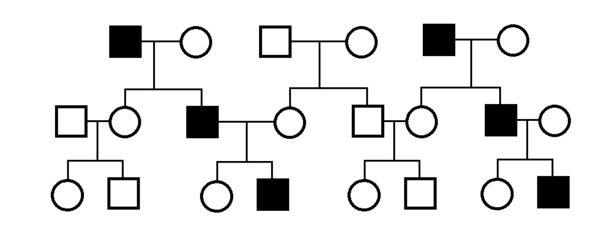 <p>Xác định kiểu di truyền trong cây phả hệ sau:</p>