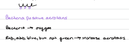 <ol><li><p><span>Joseph Priestley - photosynthesis 1771 (experimented on a mouse and mint)&nbsp; &nbsp; &nbsp; &nbsp; &nbsp; &nbsp; &nbsp; &nbsp; &nbsp; &nbsp; &nbsp; &nbsp; &nbsp; &nbsp; &nbsp; &nbsp; &nbsp; &nbsp; &nbsp; &nbsp; &nbsp; &nbsp; &nbsp; &nbsp; &nbsp;</span></p></li><li><p><span>Jan&nbsp; Ingenhousz - O2 increase requires light + green part of the plant&nbsp;</span></p></li><li><p><span>Therador Engelman - late 1800s</span></p></li></ol><ul><li><p><span>spirogyra —&gt; isolate chloroplasts</span></p></li></ul><p></p>