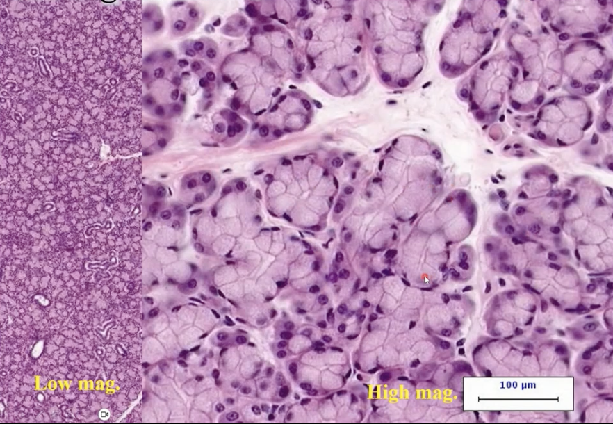 <p>What is this, and what does it contain?</p>