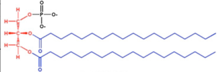 <p>what is this structure?</p>