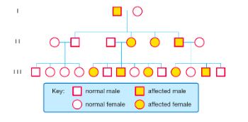 <p>When at least one copy of the allele is present. Each affected individual has at least one parent with the trait. Not sex related and may be in every generation.</p>
