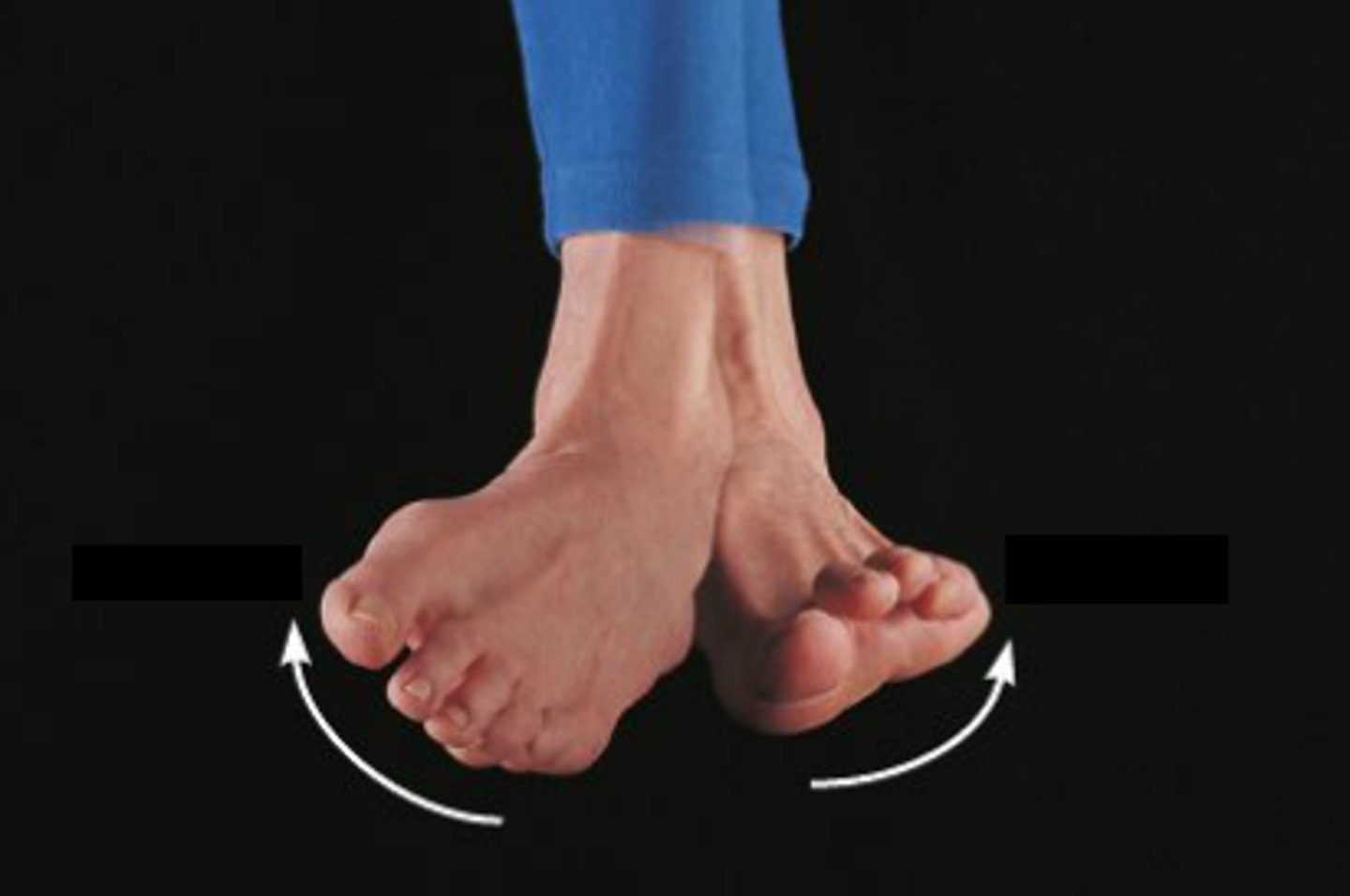 <p>what movements are these</p>