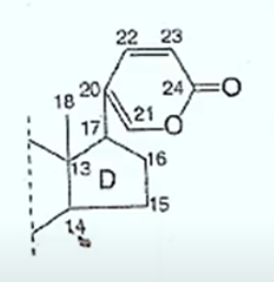 <p>Structure of cardiac</p>