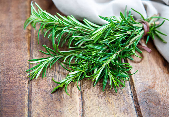 <p><img src="https://www.thespicehouse.com/cdn/shop/articles/Rosemary_720x.jpg?v=1639676021" alt="8 Best Substitutes for Rosemary - The Spice House"></p>