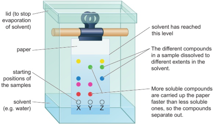 <p>some compounds dissolve better in solvent than others</p><ol><li><p>solvent moves along strip of paper</p></li><li><p>carries diff. substances in mixture at diff. speeds - separates them</p></li></ol><p></p>