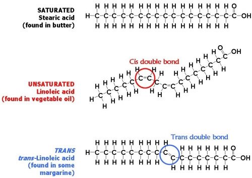 <p><span>What are trans fats?</span></p>