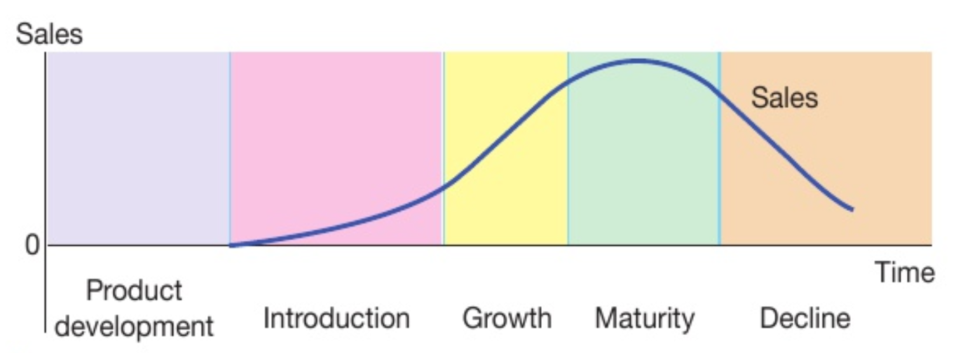<ol><li><p>development</p></li><li><p>introduction</p></li><li><p>growth</p></li><li><p>maturity</p></li><li><p>decline</p></li></ol>