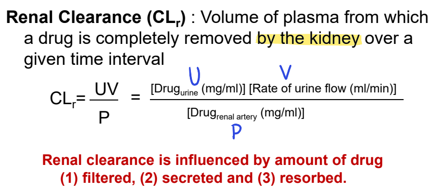 <ul><li><p>volume of plasma from which a drug is completely removed by the kidney over a given time interval</p></li><li><p>influenced by amount of drug filtered, secreted, and resorbed</p></li></ul><p></p>