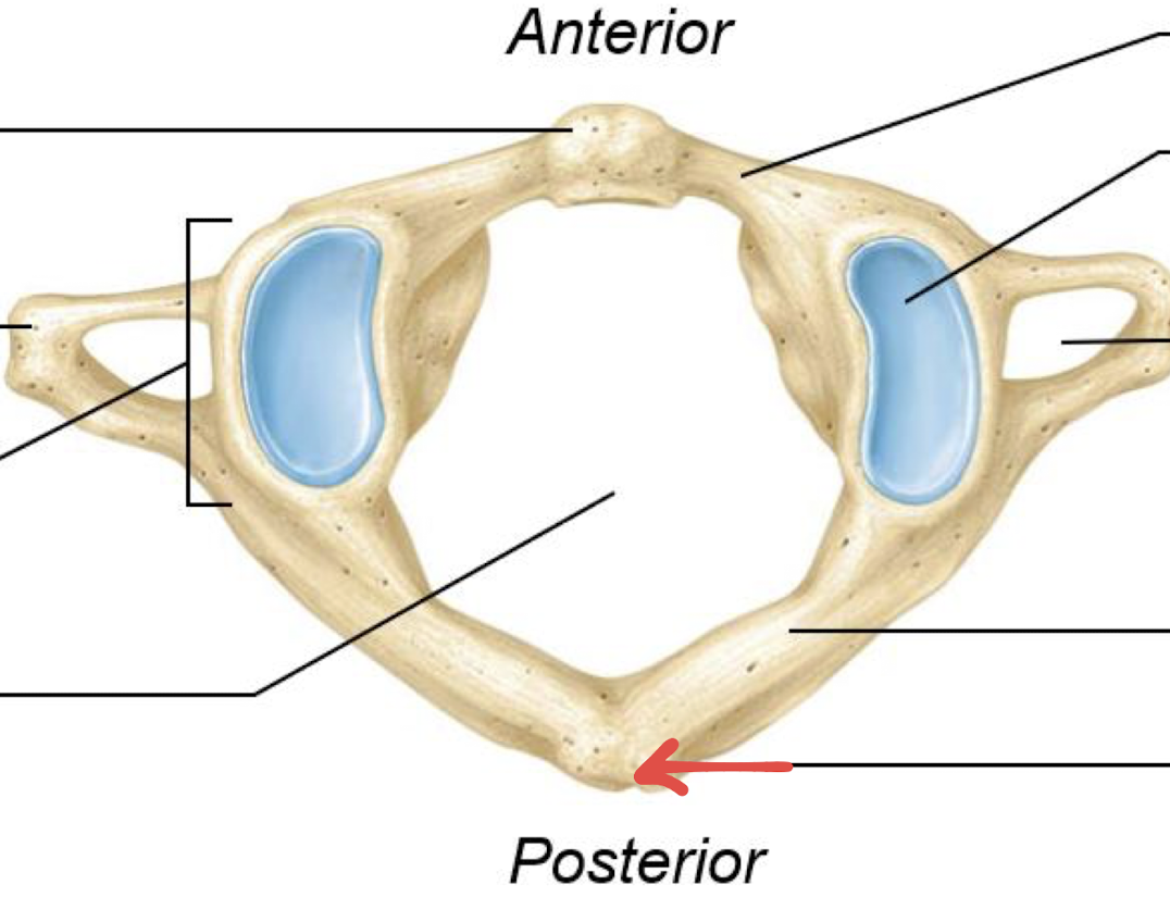 <p>what is this?</p>