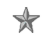 <p>1 Silver Star</p>