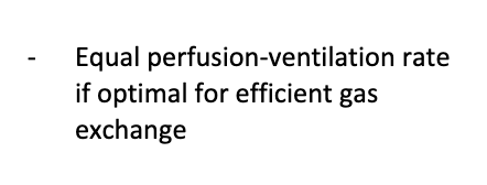 the amount of blood flow reaching the alveoli; Po2 controls this by changing arteriolar diameter where necessary (high Po2 causes the arterioles to dilate which increases blood flow and low Po2 causes the arterioles to constrict which decreases blood flow)