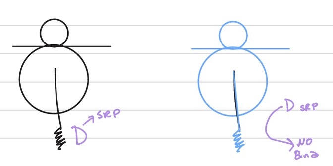 <p>A signal sequence is identified as an <strong>RER-specific targeting sequence</strong> because its presence on a nascent polypeptide chain causes the <strong>Signal Recognition Particle (SRP)</strong> to bind, temporarily halting translation and directing the ribosome to the Rough Endoplasmic Reticulum membrane for the protein's eventual translocation</p>