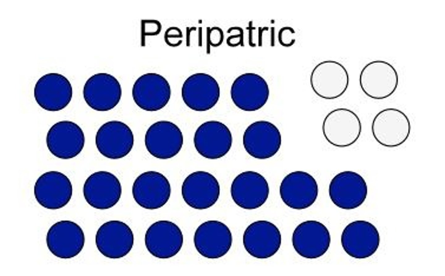 <p>peri=near. A small population isolated at the edge of a larger population</p>