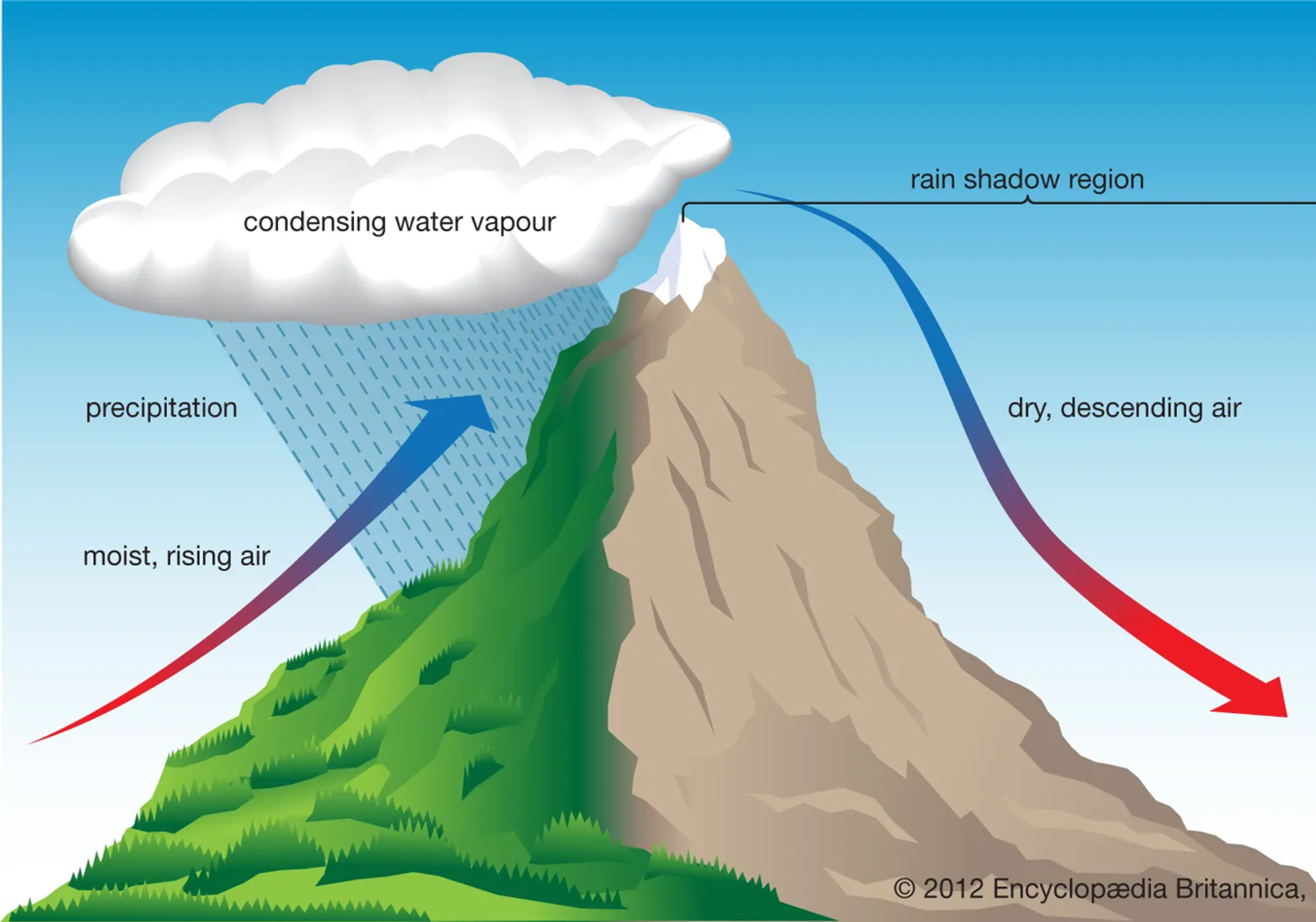 <p>Physical features such as mountains that affect climate by influencing precipitation patterns.</p><p>Mountains act as barriers to air movement, impacting precipitation levels on their windward and leeward sides. The windward side, facing prevailing winds, receives more rainfall as moist air is forced to rise, cool, and condense into precipitation. The leeward side, sheltered from prevailing winds, experiences drier conditions known as rain shadows.</p><p>The uplift of air over mountains leads to cloud formation and rainfall on the windward side, while the leeward side remains dry due to the descending, warmer air.</p>