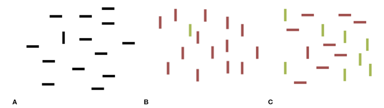 <p><span style="line-height: 20.925px;">Tasks in which participants are asked to examine a display and judge whether a particular target is present or not &nbsp;</span></p><p class="Paragraph SCXW114290920 BCX4" style="text-align: left;"><span style="line-height: 20.925px;">E.g., Finding a vertical segment in a field of horizontals or a green shape in a field of red shapes&nbsp;</span></p><p class="Paragraph SCXW114290920 BCX4" style="text-align: left;"><span style="line-height: 20.925px;">In panel A, you can immediately spot the vertical, distinguished from the other shapes by just one feature. Likewise, in Panel B, you can immediately spot the lone green bar in the field of reds. But in Panel C, it takes longer to find the one red vertical, because now you need to search for a combination (conjunction) of features—not just for red or vertical, but for the one form that has both of these attributes.&nbsp;</span></p>