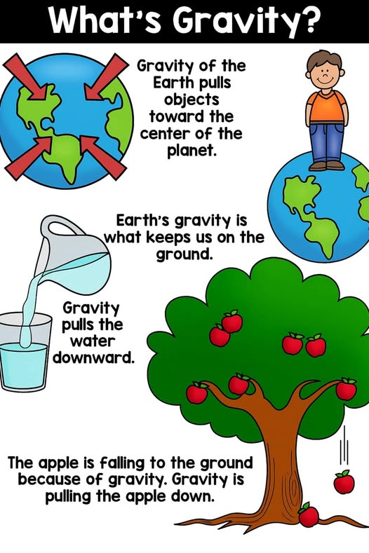 <p><strong>Gravity</strong></p>