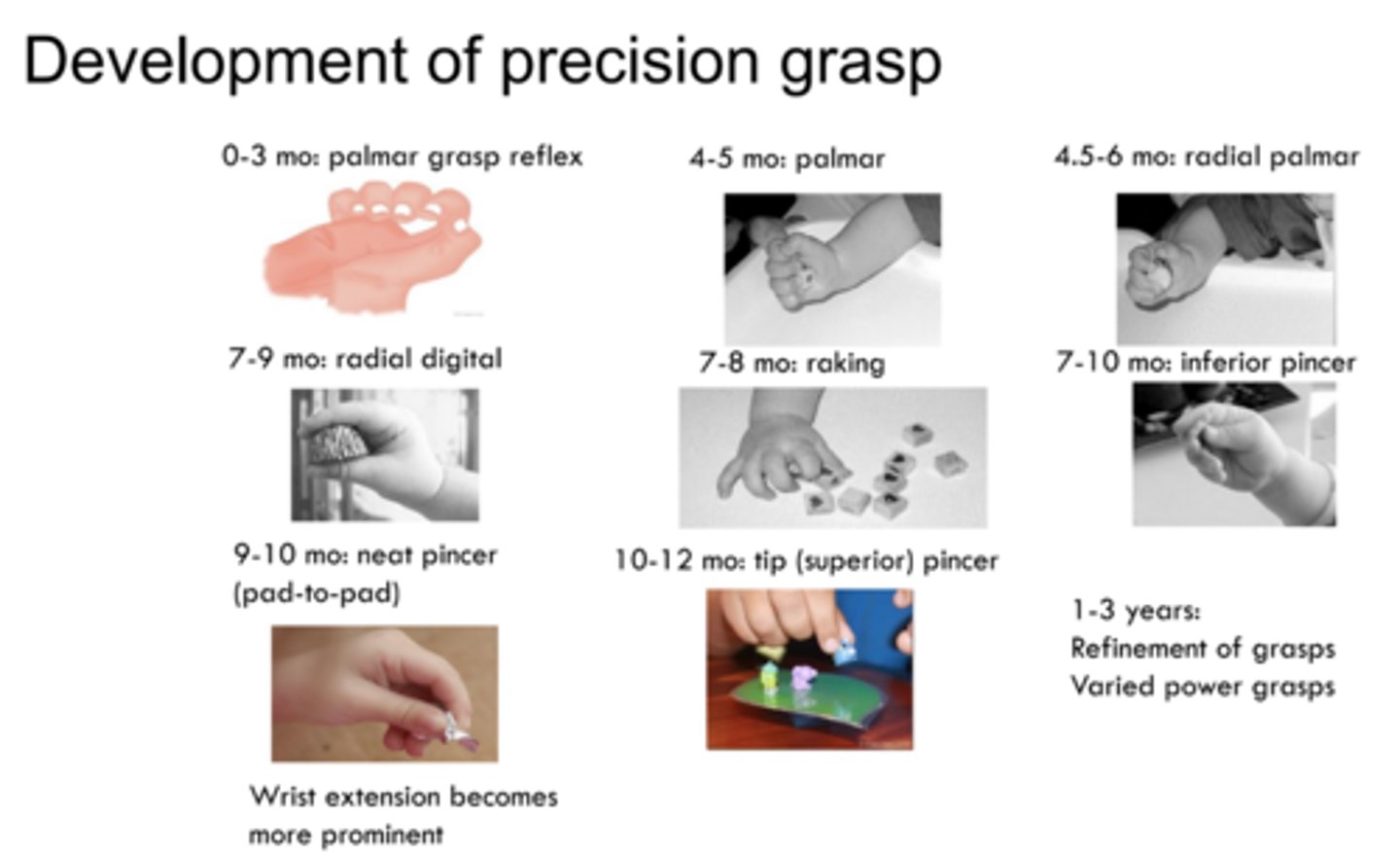 <p>0-3 months: palmar grasp reflex</p><p>4-5 months: palmar</p><p>4.5-6 months: radial palmar</p><p>7-9 months: radial digital</p><p>7-8 months: raking</p><p>7-10 months: inferior pincer</p><p>9-10 months: neat pincer (pad to pad)</p><p>10-12 months: tip (superior) pincer</p><p>1-3 years: refinement of grasps, varied power grasps</p>