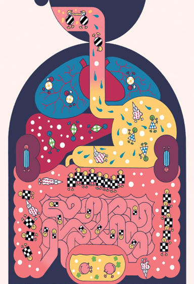 <p><span>Bacteria and fungi that colonize every surface of our body including internally when they have access from an outside point (ex. gastrointestinal, lungs, etc.). Microbiome is very beneficial&nbsp;in maintaining health and supporting/training the immune system as well as producing enzymes to help us digest .&nbsp;</span></p>