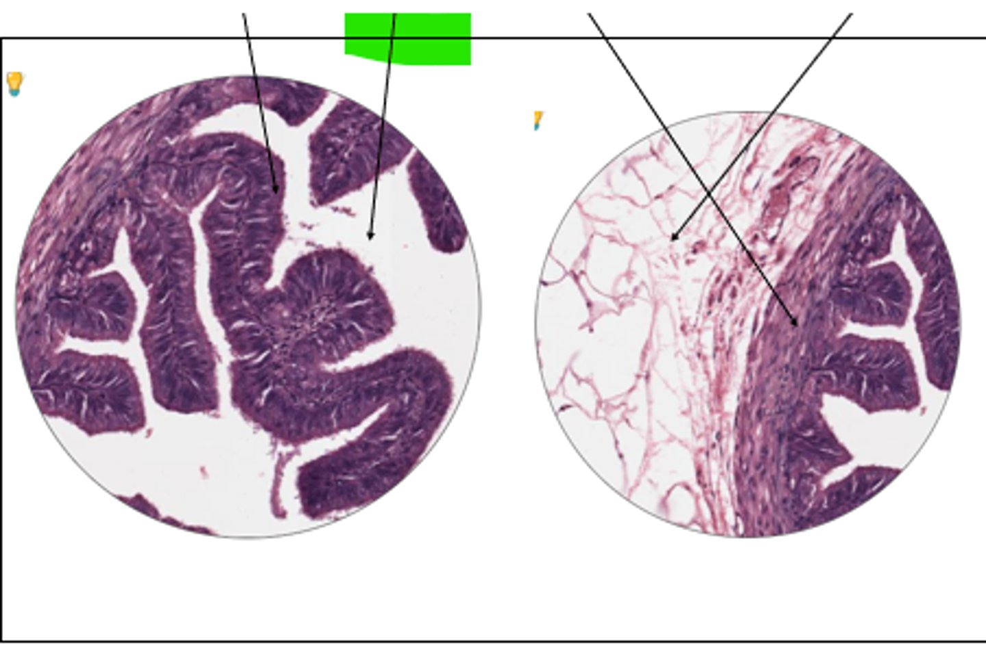 <p>part of structure and structure?</p>