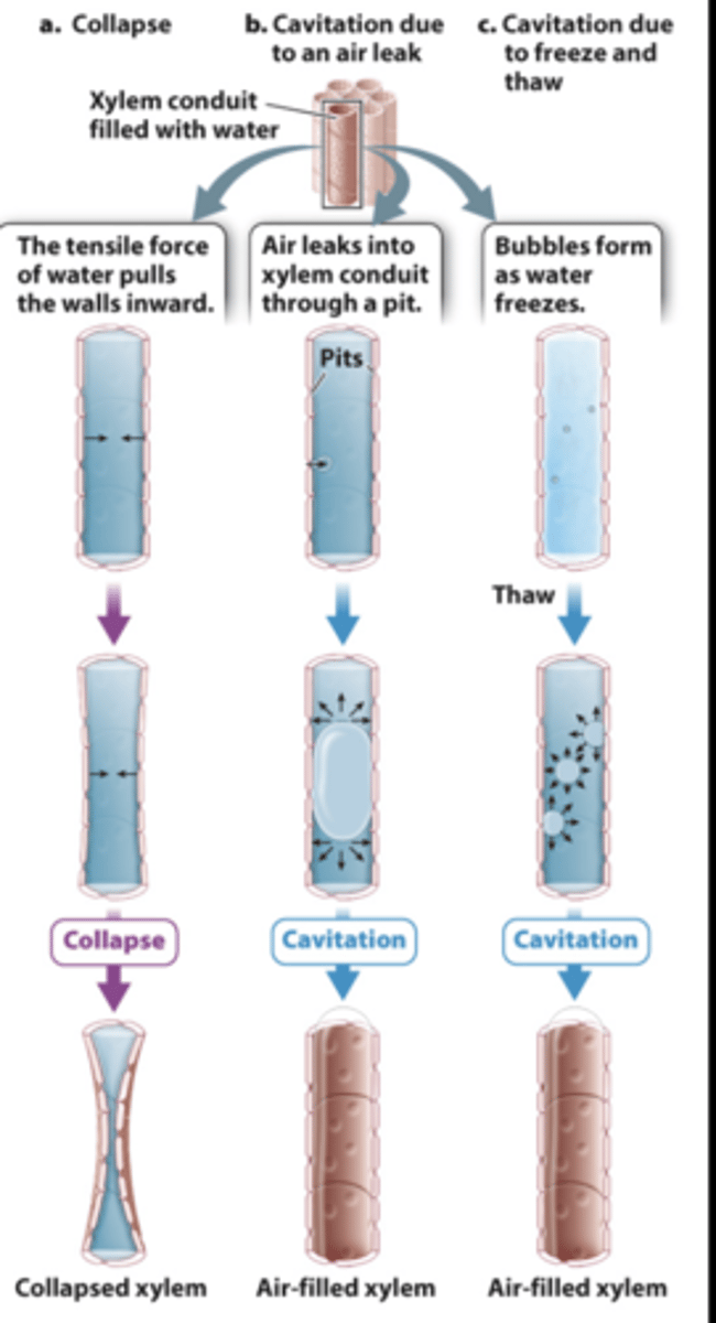<p>air, freezing, dehydration</p>