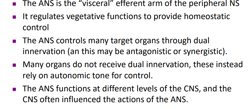 <p>DIAGRAM ON SLIDE 31</p>