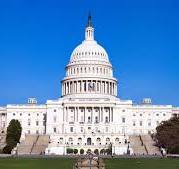 <p>The <strong>only branch set up by the Articles of Confederation</strong>, responsible for passing laws.</p>
