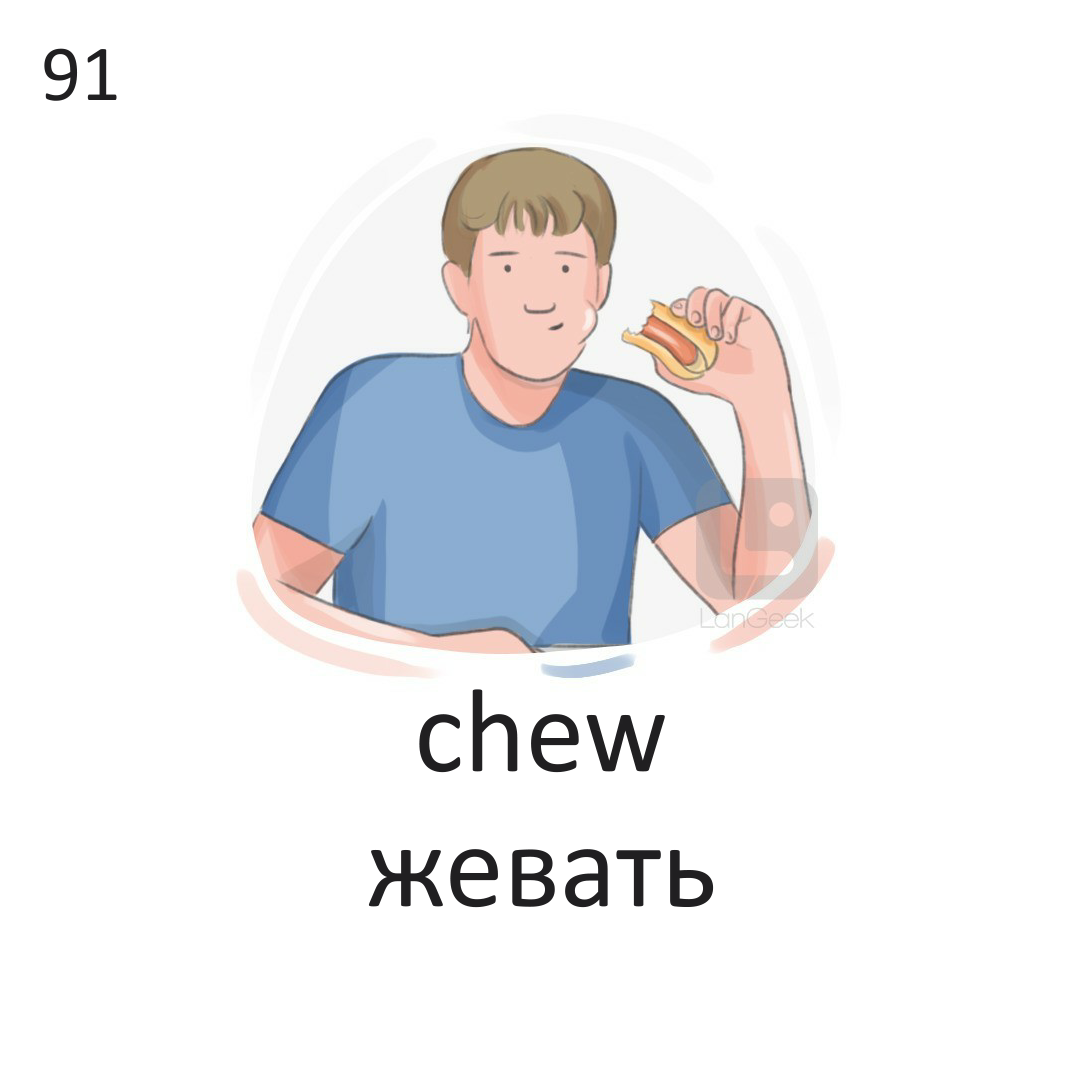 <p><span>Chew</span></p>