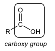 <p>carboxy group</p>