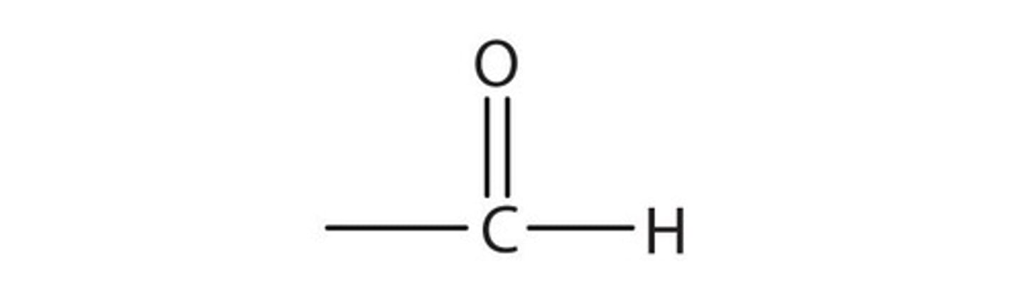 <p>CHO</p>